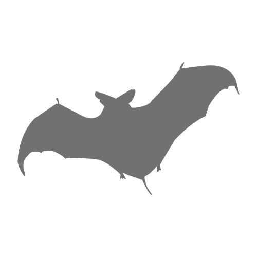Morcegos